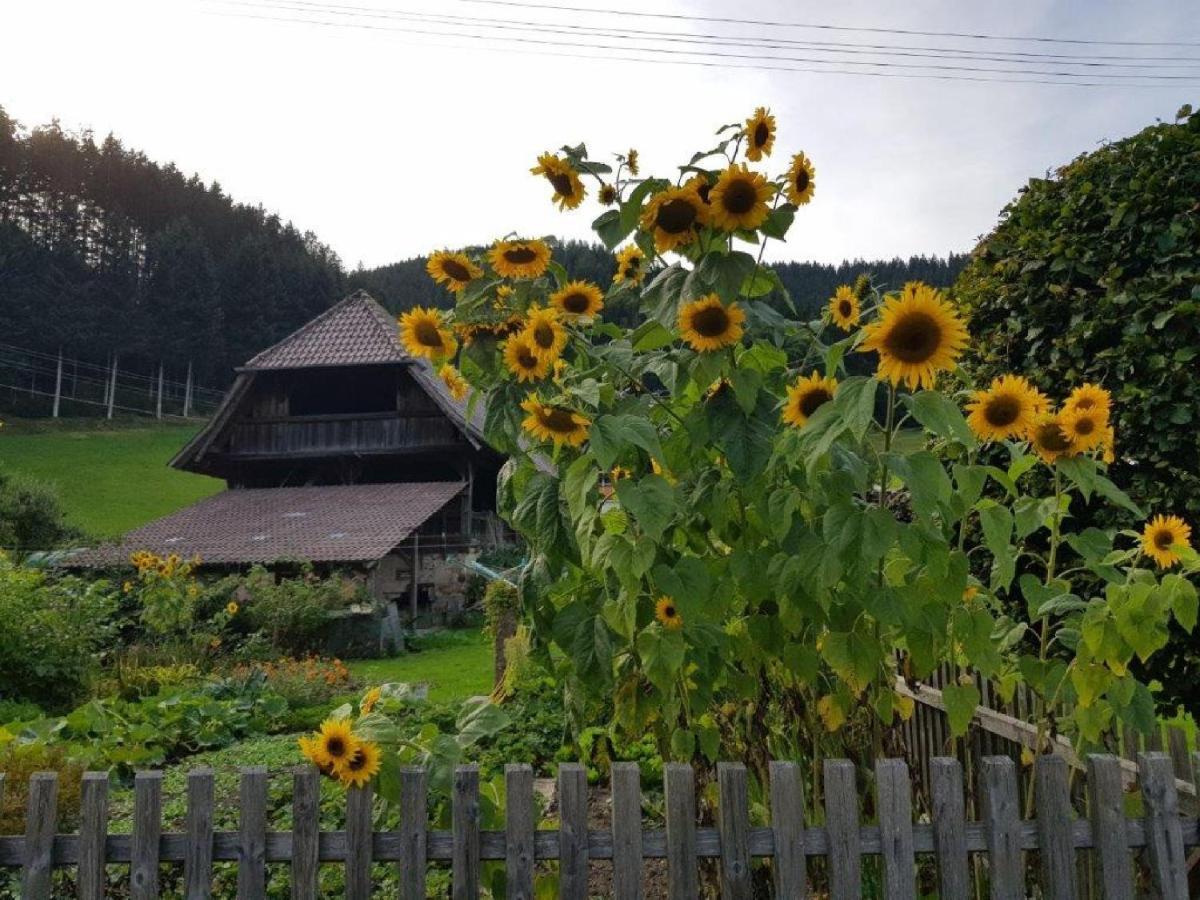 Hotel Walkenstein Oberwolfach Exteriör bild